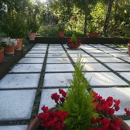 Nocleg ze śniadaniem Villino L'aranceto Sorrentino
