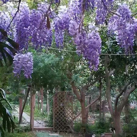 Villino L'aranceto Sorrentino Nocleg ze śniadaniem