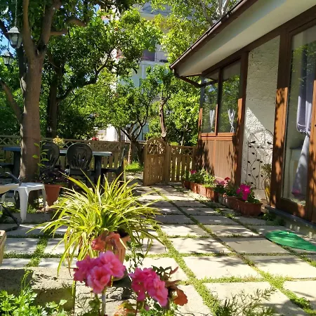 Villino L'aranceto Sorrentino Bed & Breakfast Meta