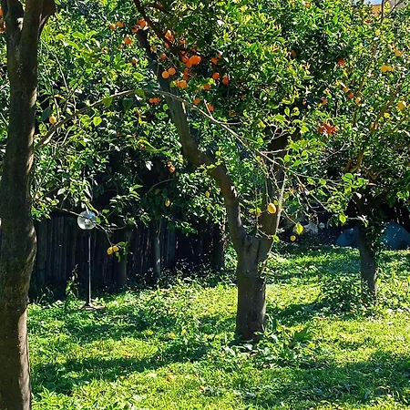 Bed & Breakfast Villino L'aranceto Sorrentino Meta
