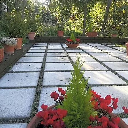Villino L'aranceto Sorrentino Bed and breakfast