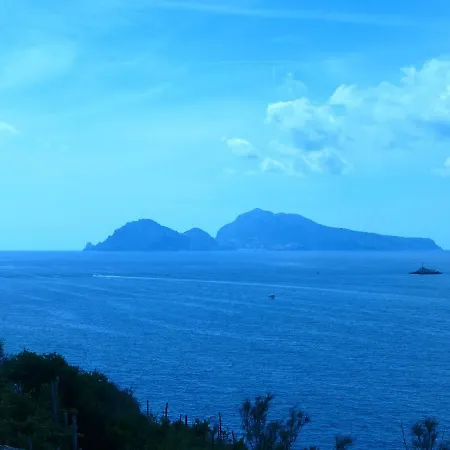 Villino L'aranceto Sorrentino Bed & Breakfast Meta