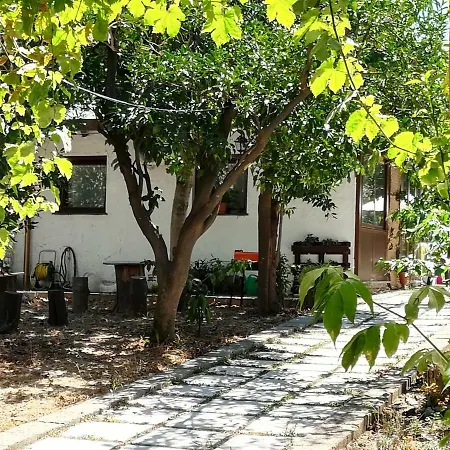 Villino L'aranceto Sorrentino *
